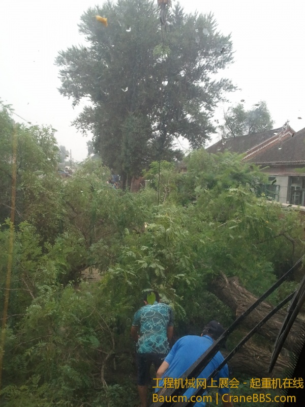 2013-07-10 11.10.02.jpg