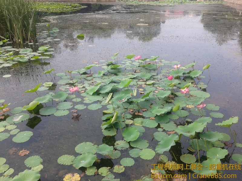 20130713_063532.jpg