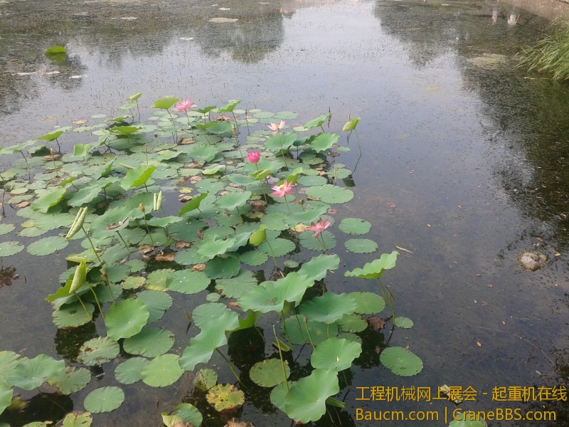 20130713_063540.jpg
