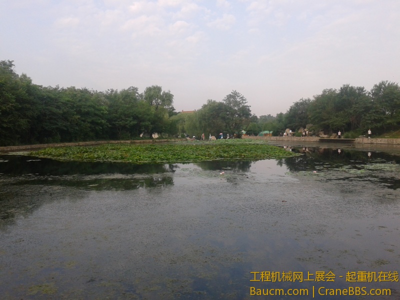 20130713_063725.jpg