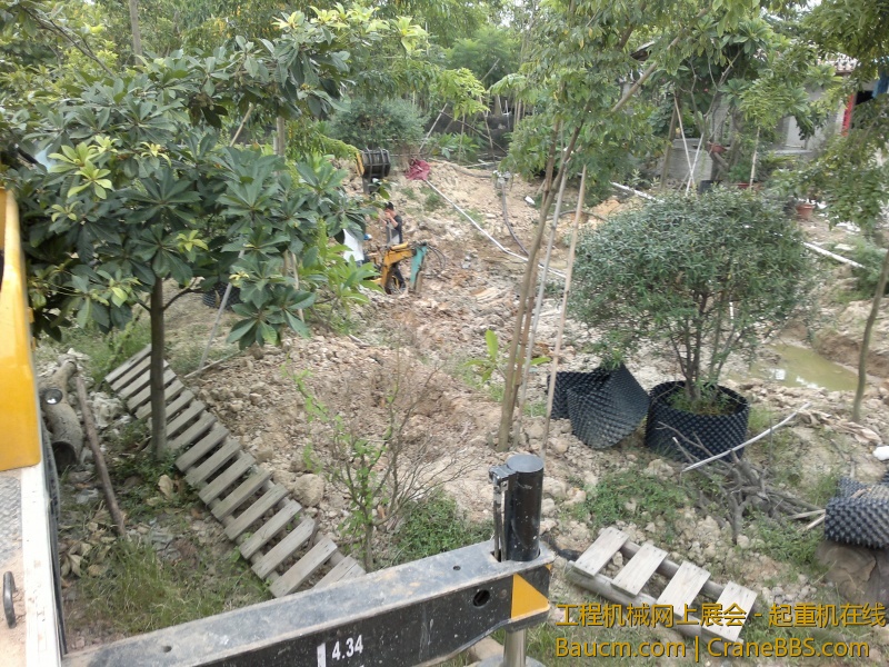 201307141281.jpg