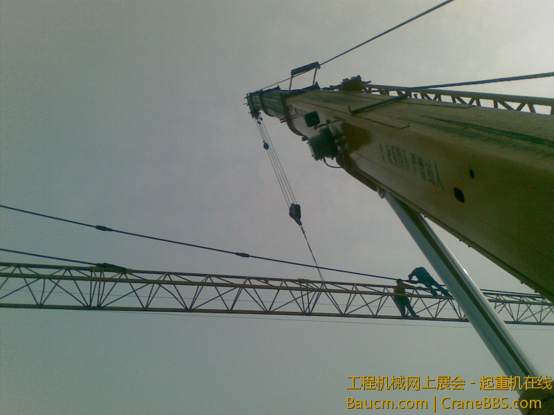 图像1130.jpg