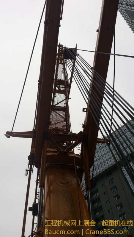 287_395585372_IMG_0256.JPG