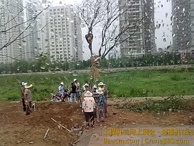 20130716322.jpg