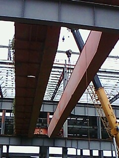 IMG1484A.jpg