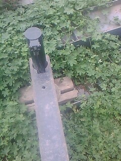 IMG1488A.jpg