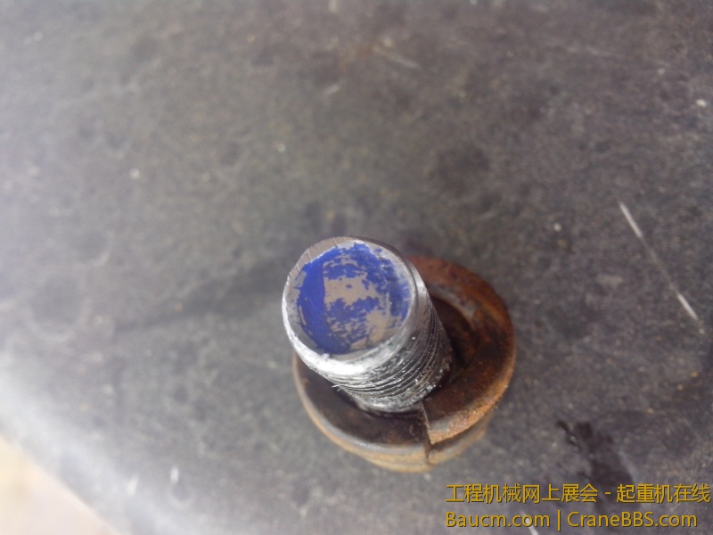 IMG_20130719_101359.jpg