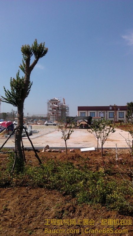 IMAG0029_1.jpg