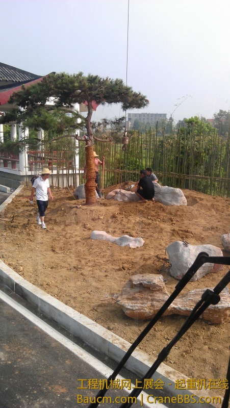 IMAG0046_1.jpg