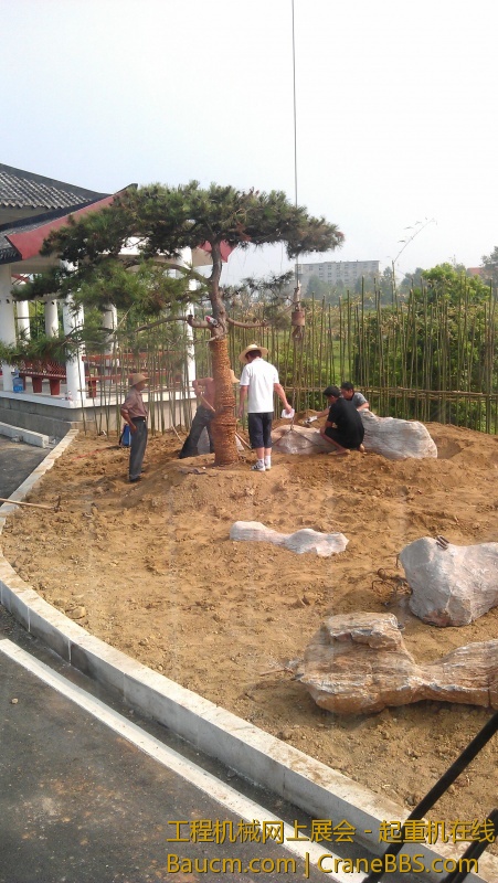 IMAG0047_1.jpg