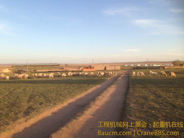 mmexport1374505503556.jpg