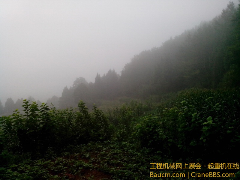 IMG_20130723_075227.jpg
