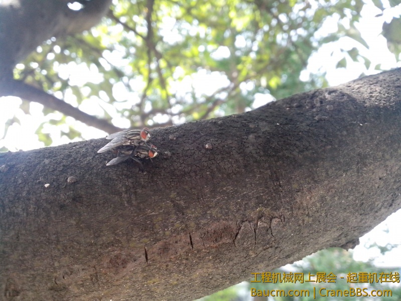 IMG_20130723_105240.jpg