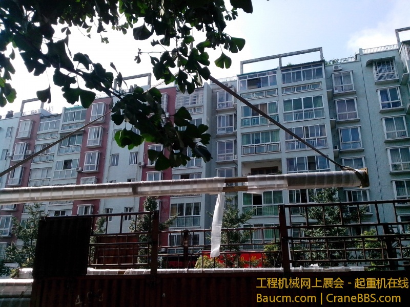 IMG_20130723_101339.jpg