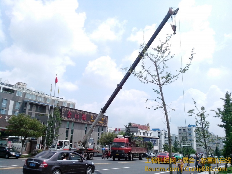 IMG_20130723_114016.jpg