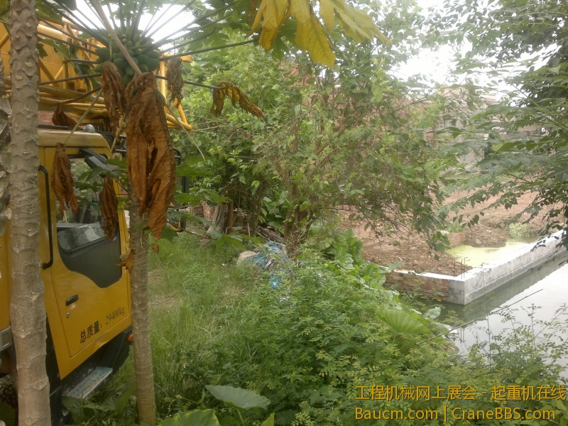 201307241311.jpg