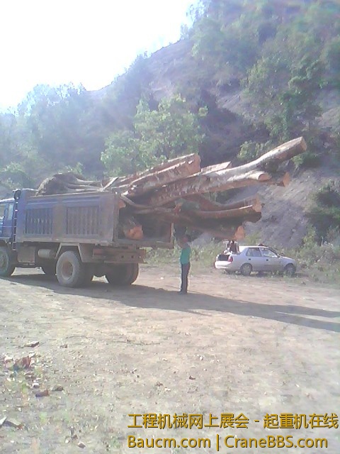 IMG0146A.jpg