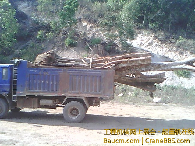 IMG0147A.jpg