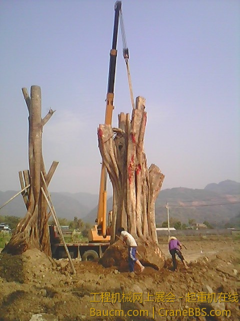 IMG0148A.jpg