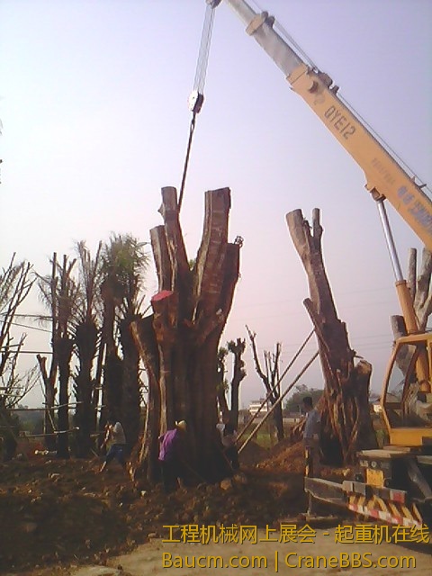 IMG0149A.jpg