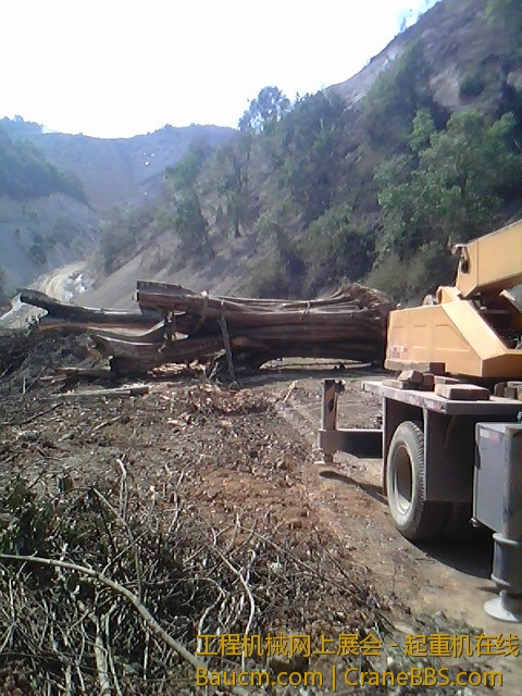 IMG0143A.jpg