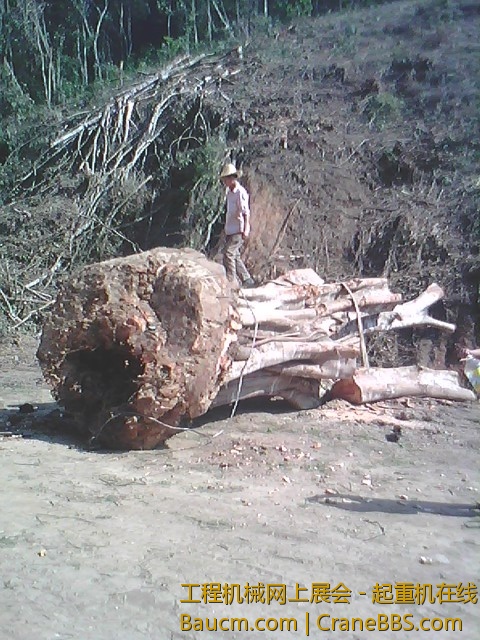IMG0144A.jpg