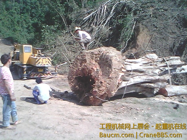 IMG0145A.jpg