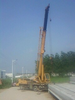 IMG1501A.jpg