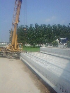 IMG1502A.jpg