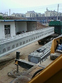 IMG1513A.jpg