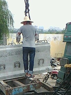 IMG1519A.jpg