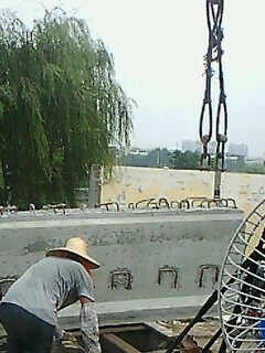 IMG1517A.jpg