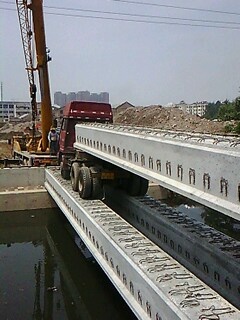 IMG1532A.jpg
