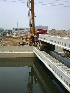 IMG1534A.jpg
