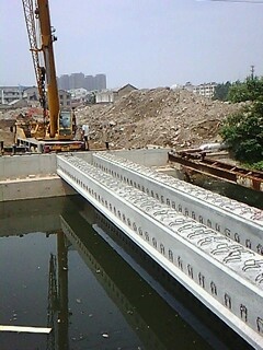 IMG1525A.jpg