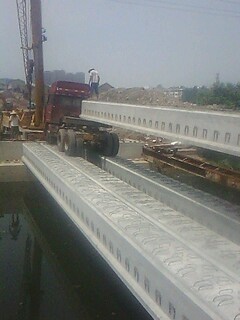 IMG1538A.jpg