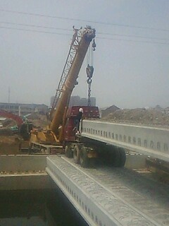 IMG1547A.jpg