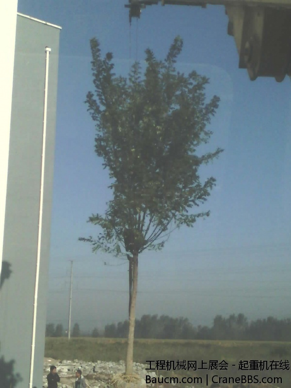 IMG_20130926_075203.jpg