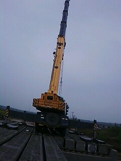 IMG1981A.jpg