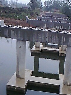 IMG1978A.jpg