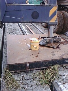 IMG2001A.jpg