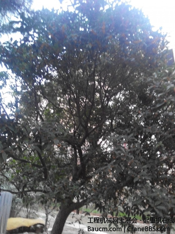 IMG_20130929_183435.jpg