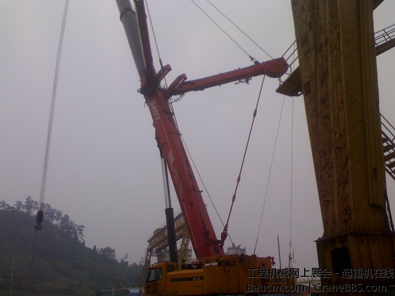 IMG1003120701.jpg