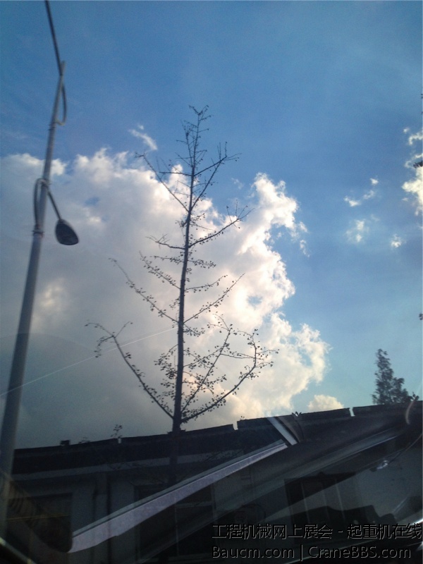 IMG_4841_旋转.jpg