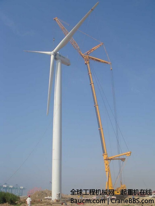 2010081134964921.jpg