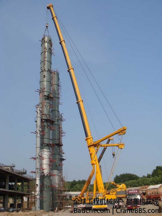 2010081135393577.jpg