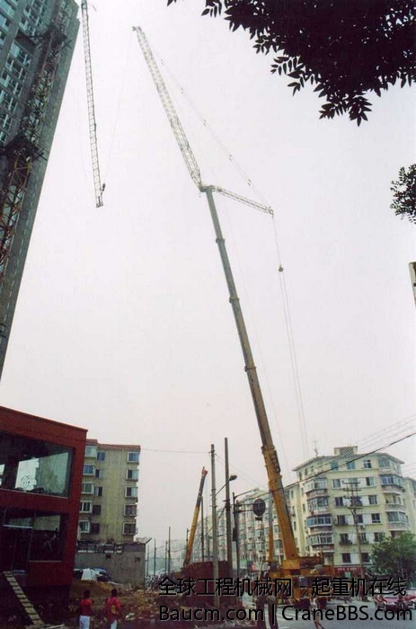 2010081136590033.jpg