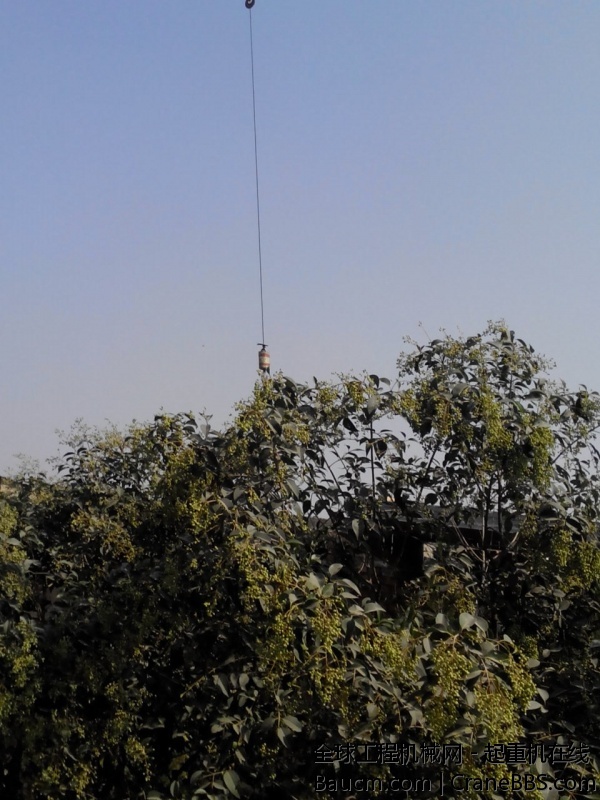 IMG_20131012_112951.jpg