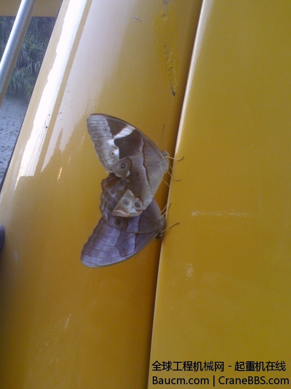 IMG1014075900.jpg