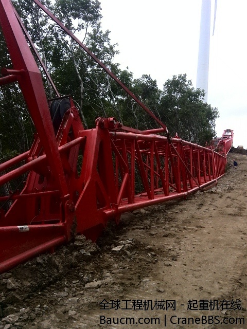 看到傍边的树没 当时杆还在树梢上面